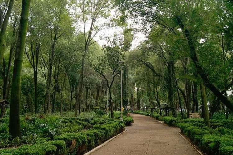 Parque México en la colonia Condesa con senderos y vegetación
