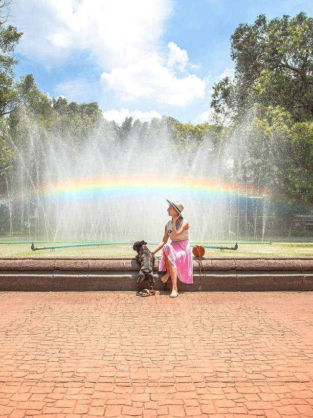 Stanza Hotel en Roma Norte CDMX – 40% de descuento solo desde sitio oficial