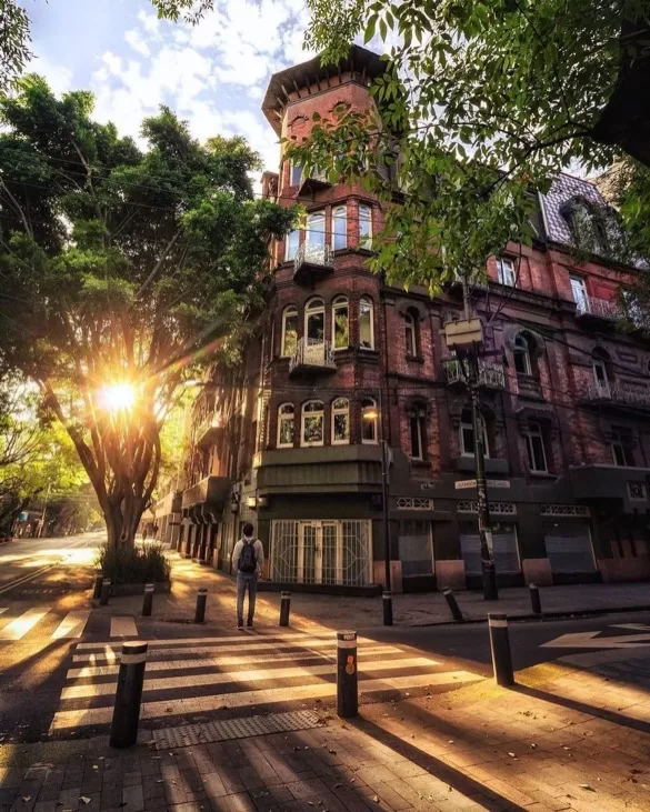 Calles arboladas y arquitectura histórica en la Colonia Roma, cerca de Stanza Hotel en la Ciudad de México.