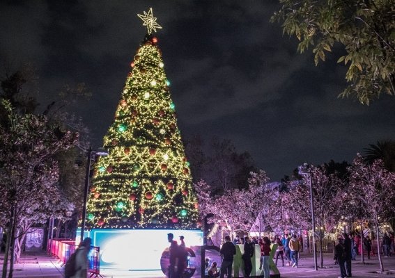 Hospédate en la Colonia Roma en Stanza Hotel con un 40% de descuento