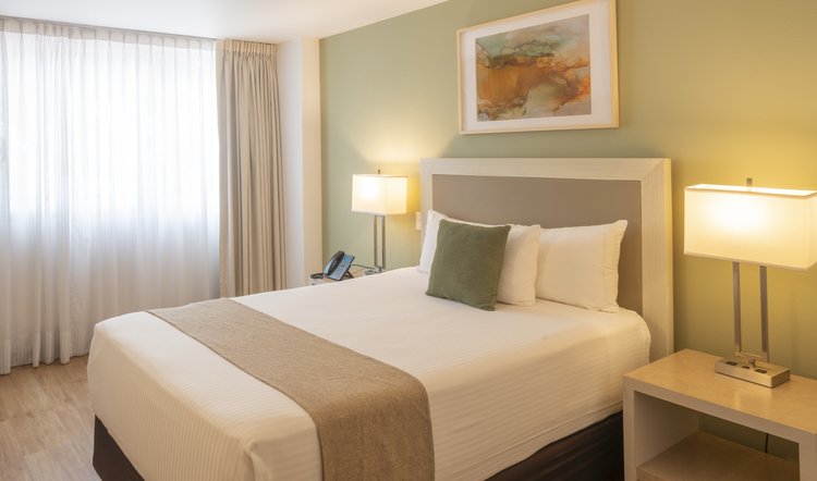 Standard Room at Stanza Hotel CDMX with one double bed and a large window