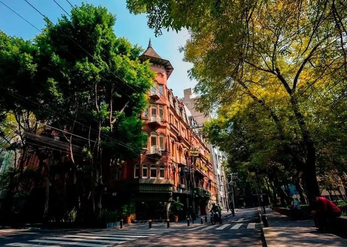 Vista de la colonia Roma Norte en Ciudad de México, conocida por su arquitectura histórica, restaurantes y vida cultural.