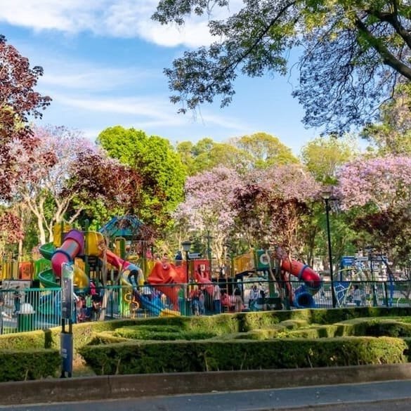 Parque de los Venados en la Ciudad de México con áreas verdes, senderos y zonas recreativas