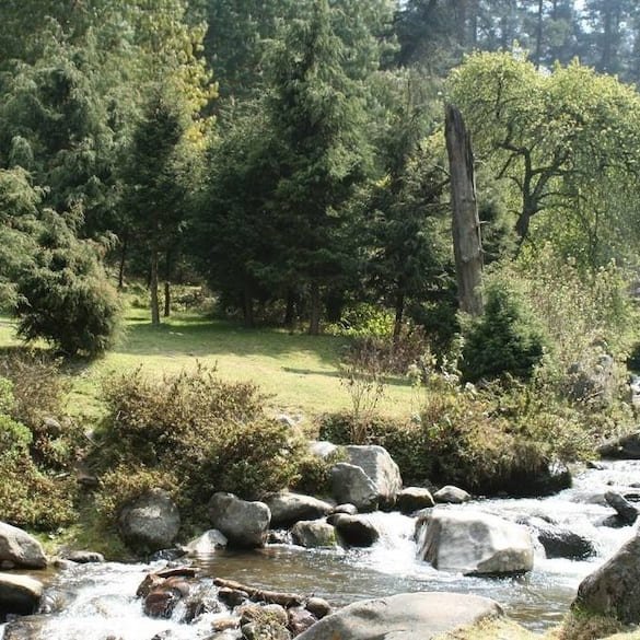 Parque de los Dinamos en la Ciudad de México con bosque, río y senderos naturales