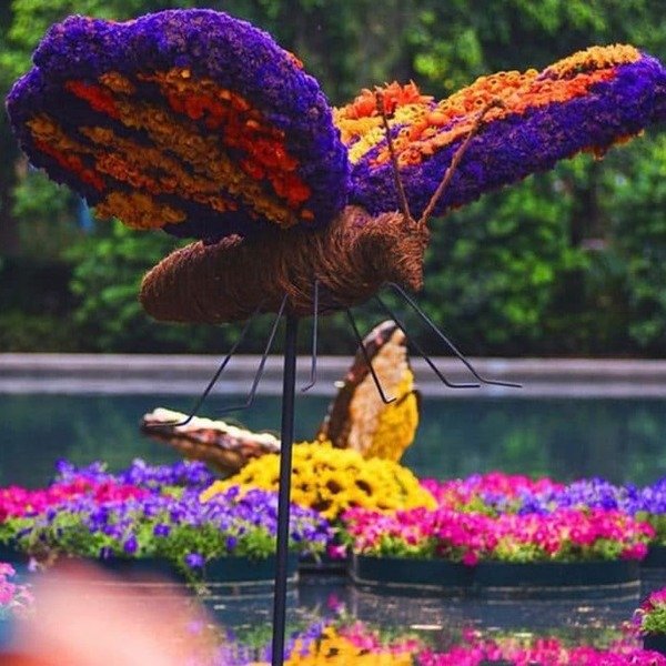 Festival de Flores y Jardines en Polanco durante el Día del Niño y la Niña en CDMX 2026