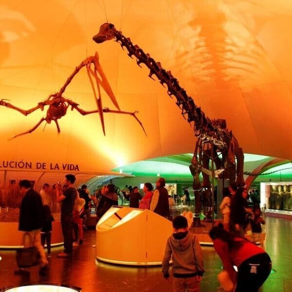 museo de historia natural CDMX niños dinosaurios actividades familiares