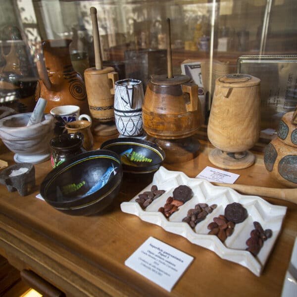 museo del chocolate CDMX niños actividades talleres chocolate MUCHO