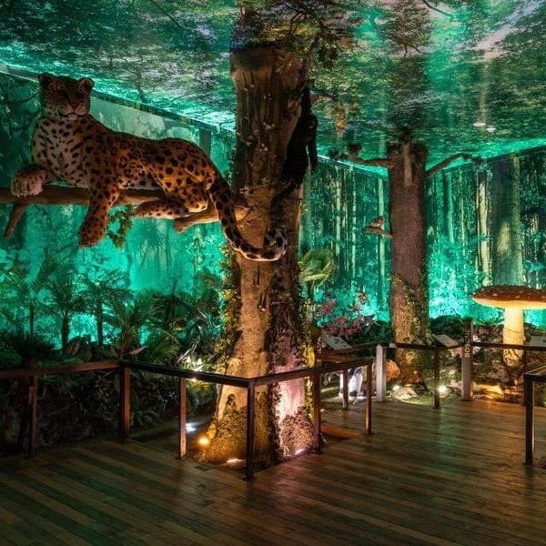 museo interactivo para niños en CDMX Museo Yancuic actividades sostenibilidad