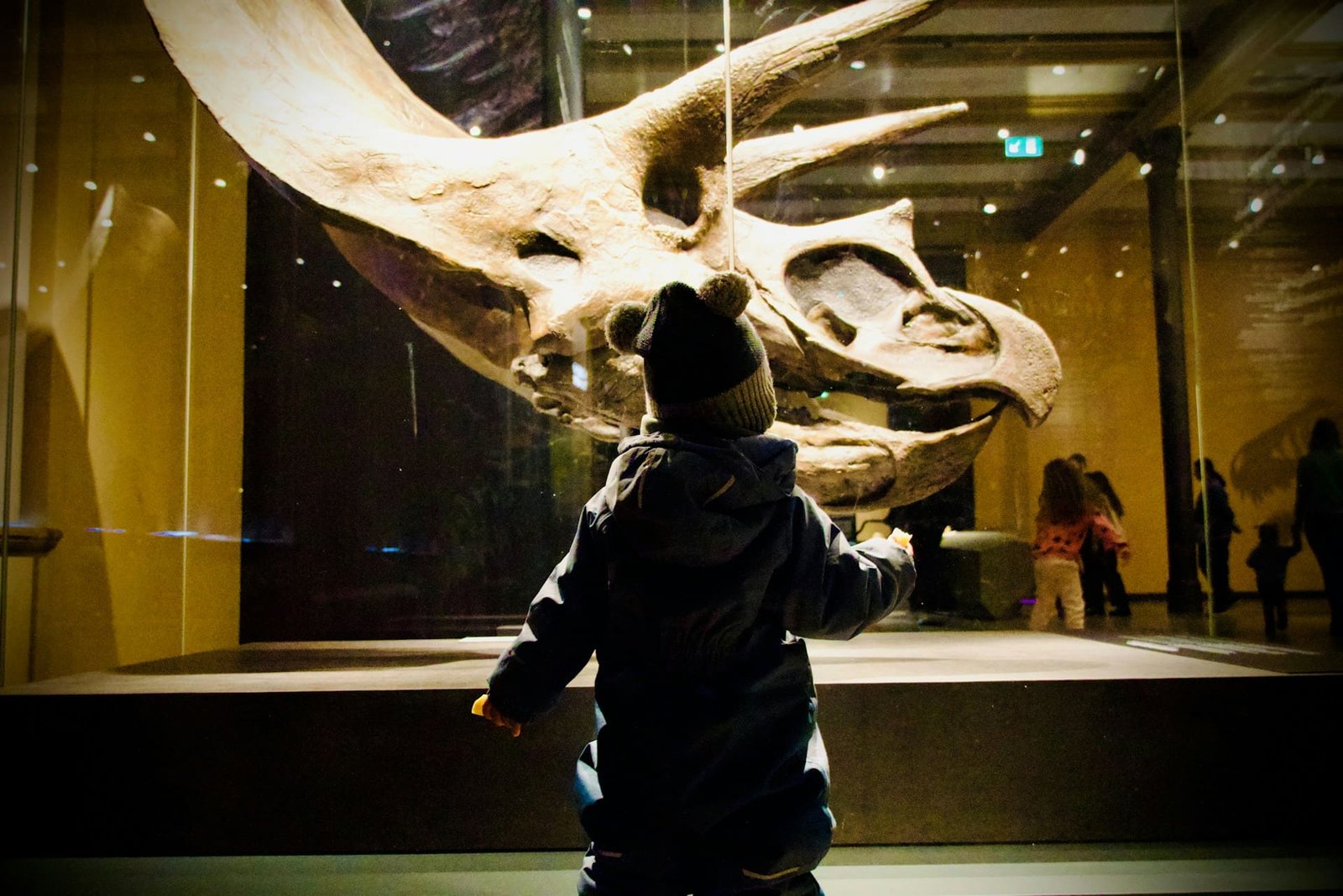 niños jugando en museo interactivo en Ciudad de México
