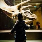 Museos con actividades para niños en la Ciudad de México