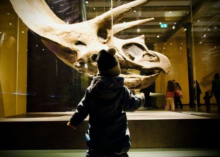 Museos con actividades para niños en la Ciudad de México