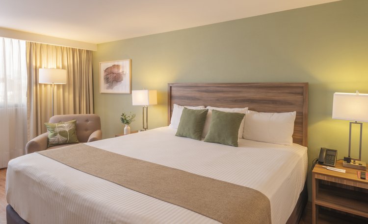 Habitación con cama king size en Stanza Hotel CDMX, en la colonia Roma