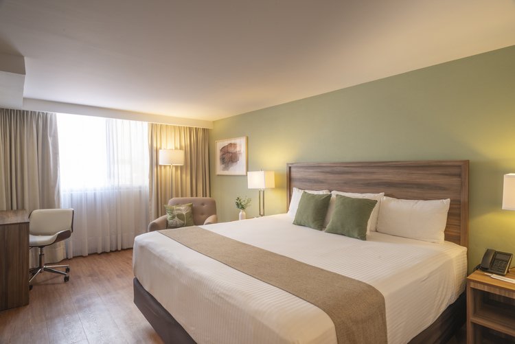 Habitación King de Stanza Hotel CDMX con cama king size, escritorio y luz natural