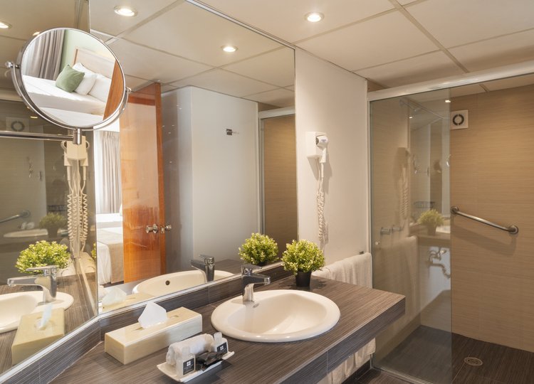Baño con lavabo, espejo y regadera en Suite Doble de Stanza Hotel CDMX